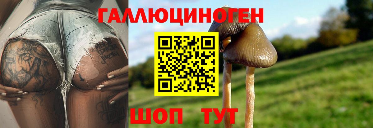 Галлюциногенные грибы Cubensis  Вход с VPN  Лянтор 